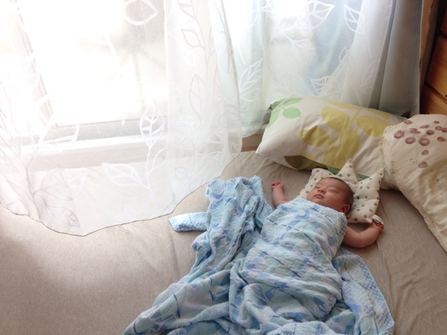 f:id:sahope:20150602095330j:plain f:id:sahope:20150602095330j:plain
