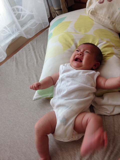 f:id:sahope:20150602095357j:plain f:id:sahope:20150602095357j:plain