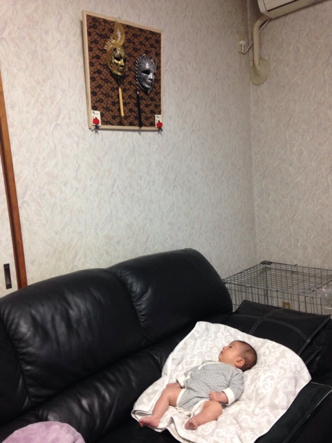 f:id:sahope:20150603222119j:plain f:id:sahope:20150603222119j:plain