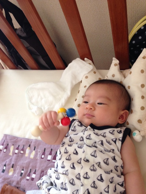 f:id:sahope:20150617103316j:plain f:id:sahope:20150617103316j:plain