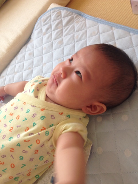 f:id:sahope:20150630110312j:plain f:id:sahope:20150630110312j:plain