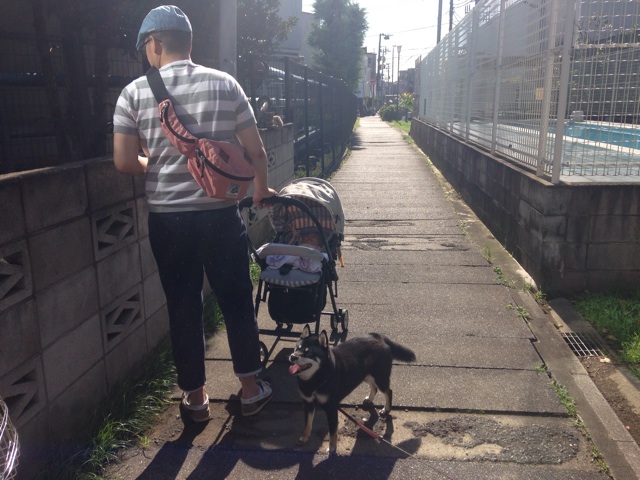 f:id:sahope:20150728154122j:plain f:id:sahope:20150728154122j:plain