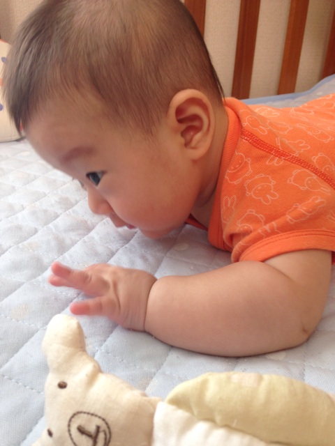 f:id:sahope:20150805002704j:plain f:id:sahope:20150805002704j:plain