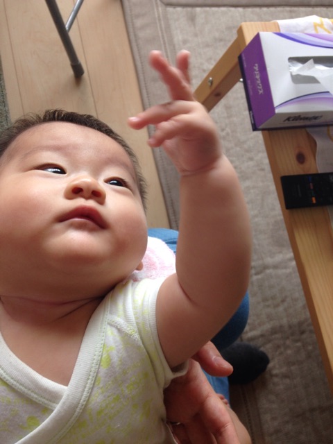 f:id:sahope:20150826003831j:plain f:id:sahope:20150826003831j:plain