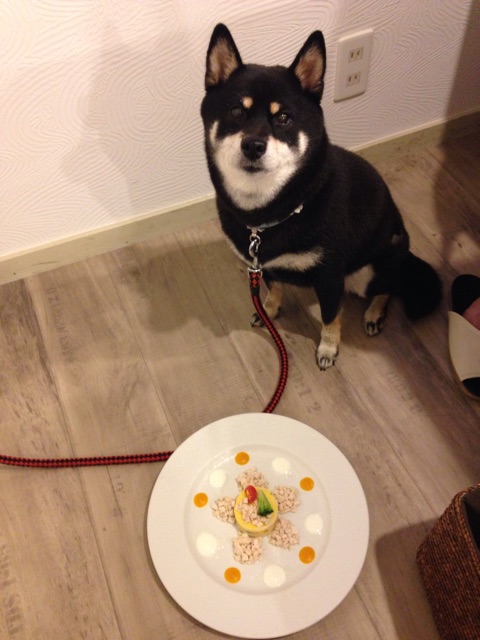 f:id:sahope:20150901173111j:plain f:id:sahope:20150901173111j:plain