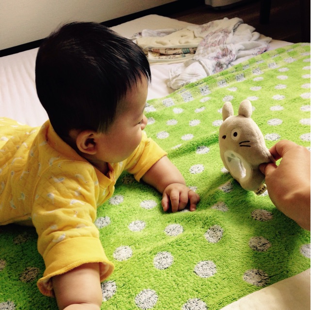 f:id:sahope:20150918223040j:plain f:id:sahope:20150918223040j:plain