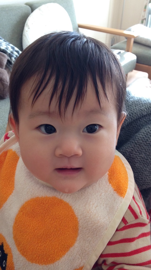 f:id:sahope:20160103223854j:image f:id:sahope:20160103223854j:image