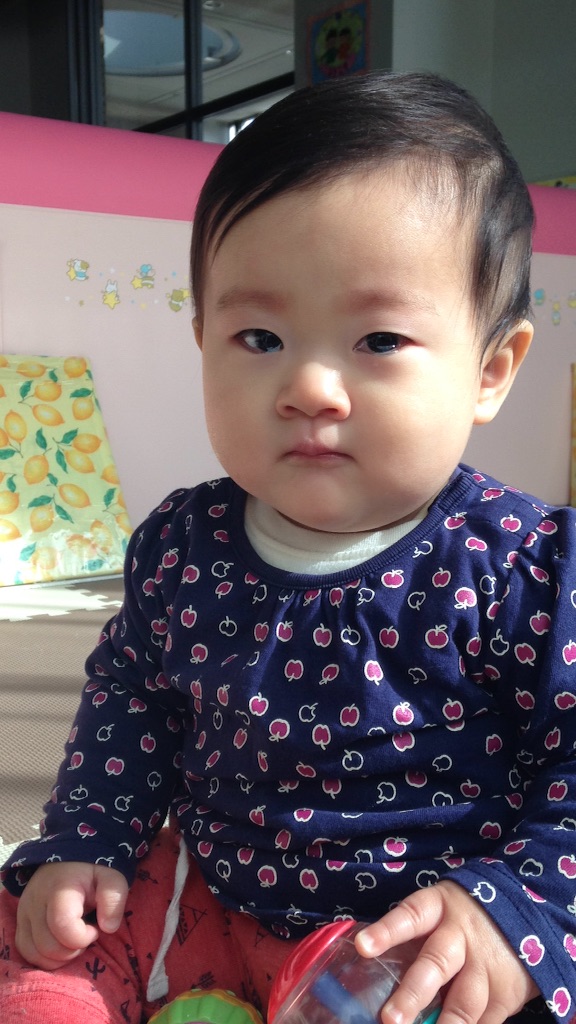 f:id:sahope:20160111214305j:image f:id:sahope:20160111214305j:image