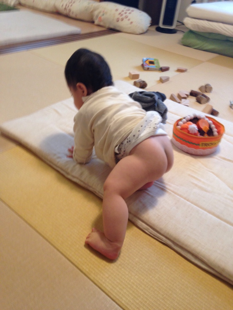 f:id:sahope:20160118221400j:image f:id:sahope:20160118221400j:image
