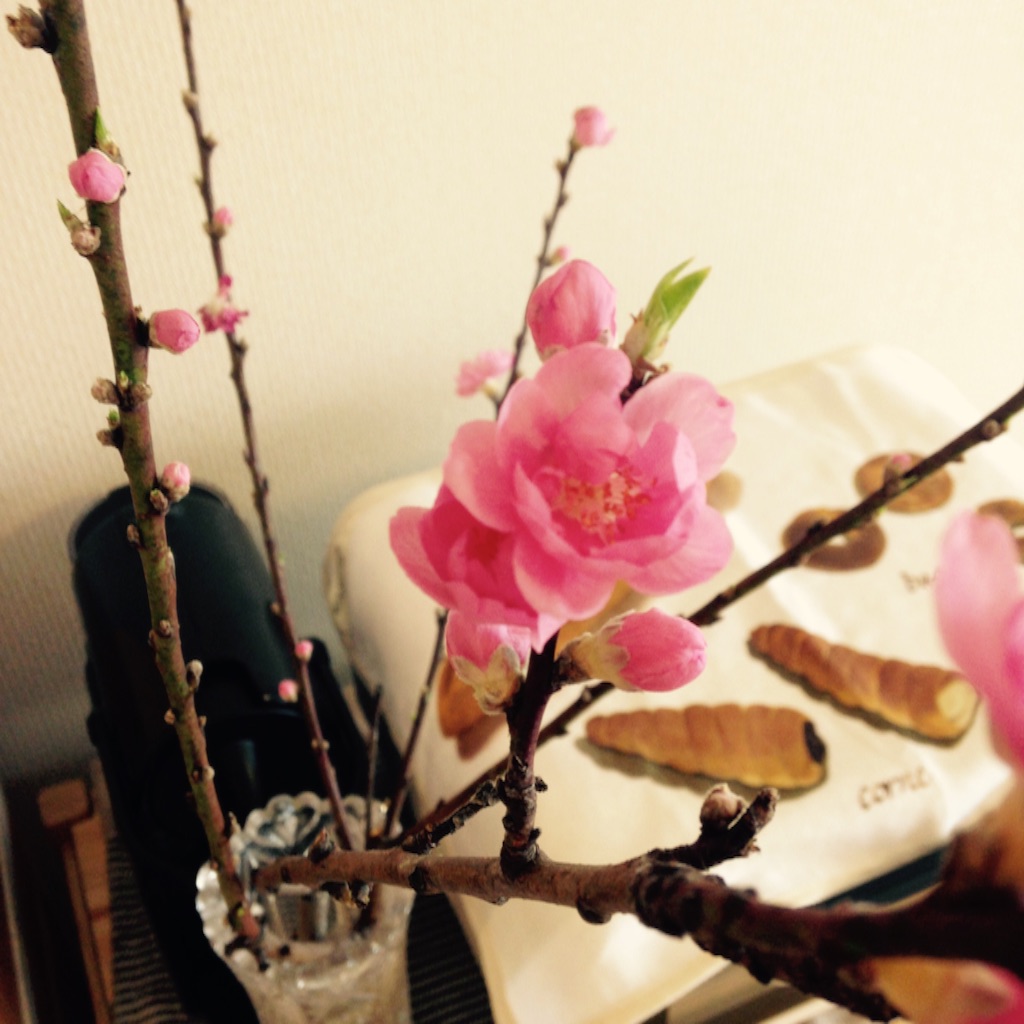f:id:sahope:20160215205604j:image f:id:sahope:20160215205604j:image
