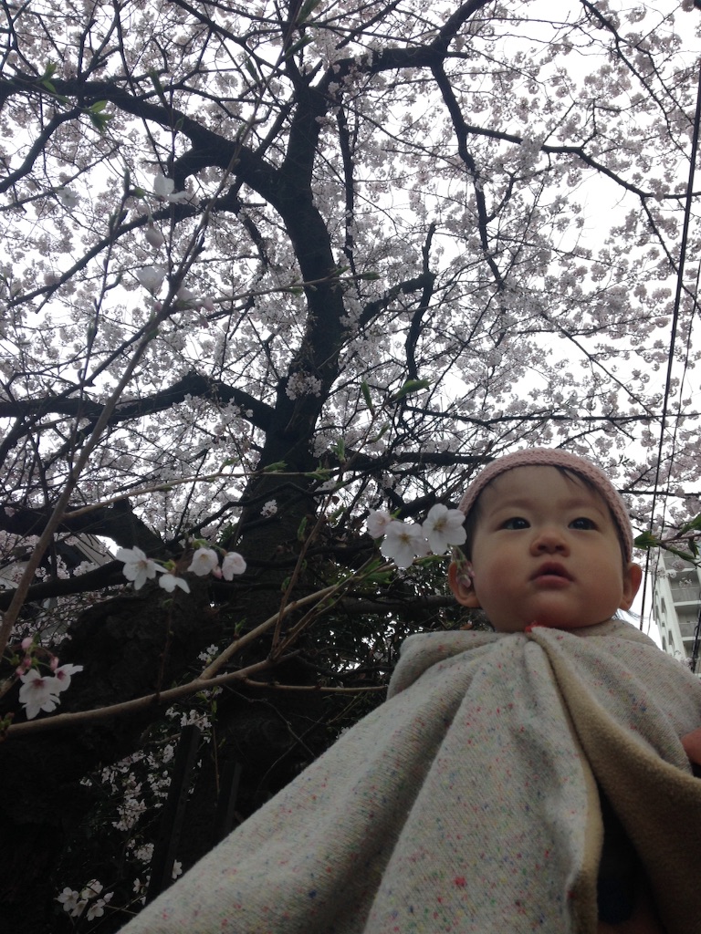 f:id:sahope:20160408131347j:image f:id:sahope:20160408131347j:image