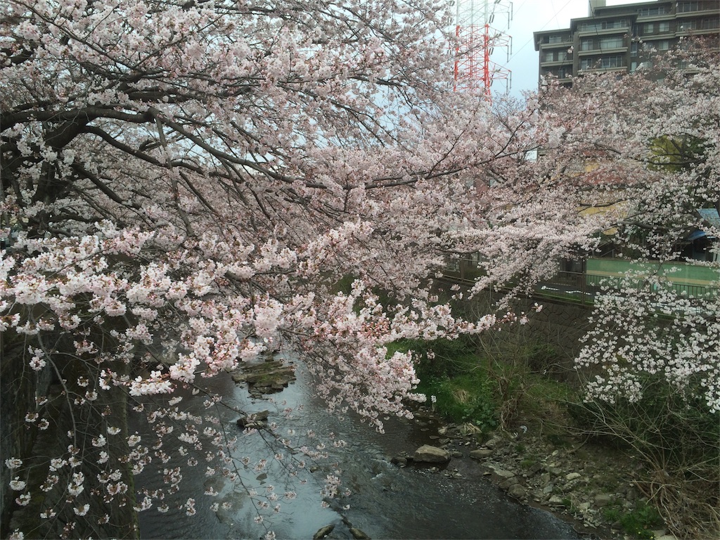 f:id:saitoh_naoki:20160402082906j:image f:id:saitoh_naoki:20160402082906j:image