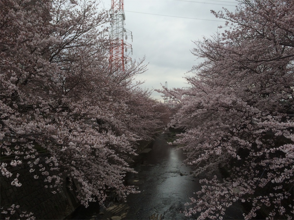f:id:saitoh_naoki:20160402082954j:image f:id:saitoh_naoki:20160402082954j:image