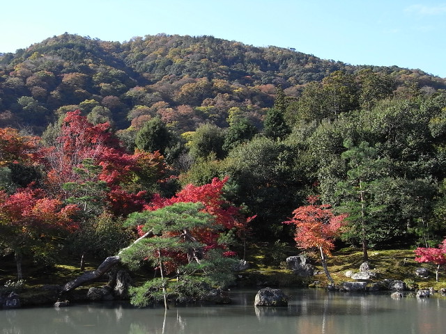 f:id:saitoy05:20111121095819j:plain f:id:saitoy05:20111121095819j:plain