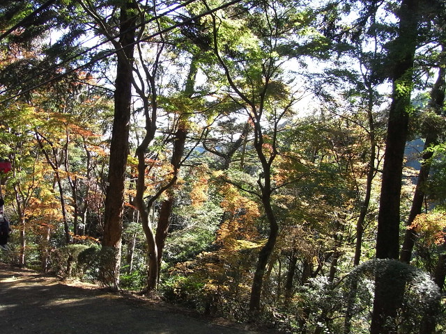 f:id:saitoy05:20111125121554j:plain f:id:saitoy05:20111125121554j:plain