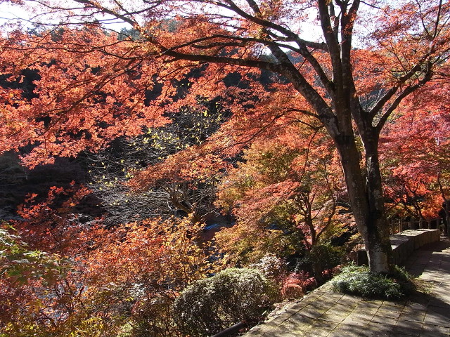 f:id:saitoy05:20111125122029j:plain f:id:saitoy05:20111125122029j:plain