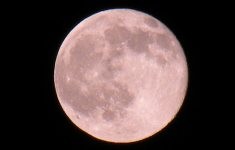 f:id:sakaik:20091106125901j:image:w200 f:id:sakaik:20091106125901j:image:w200