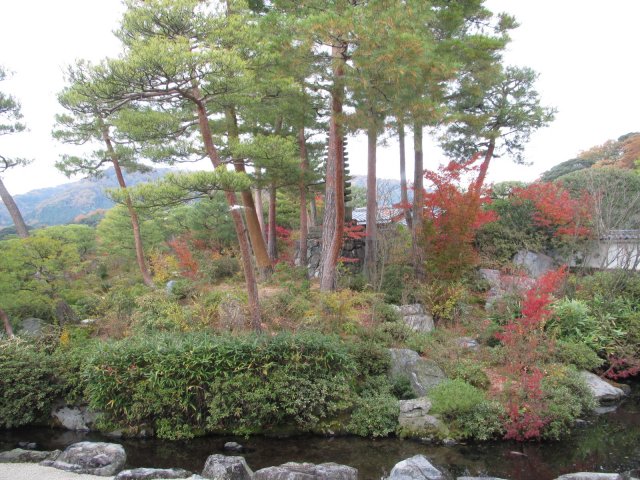 f:id:sakaik_life:20101223212140j:image:w240 f:id:sakaik_life:20101223212140j:image:w240