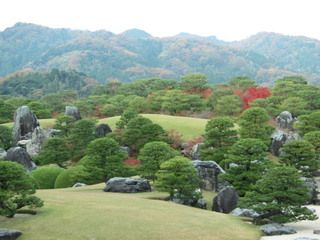 f:id:sakaik_life:20101223212459j:image:w240 f:id:sakaik_life:20101223212459j:image:w240