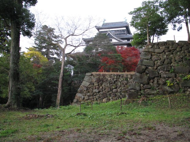 f:id:sakaik_life:20101225162023j:image:w240 f:id:sakaik_life:20101225162023j:image:w240