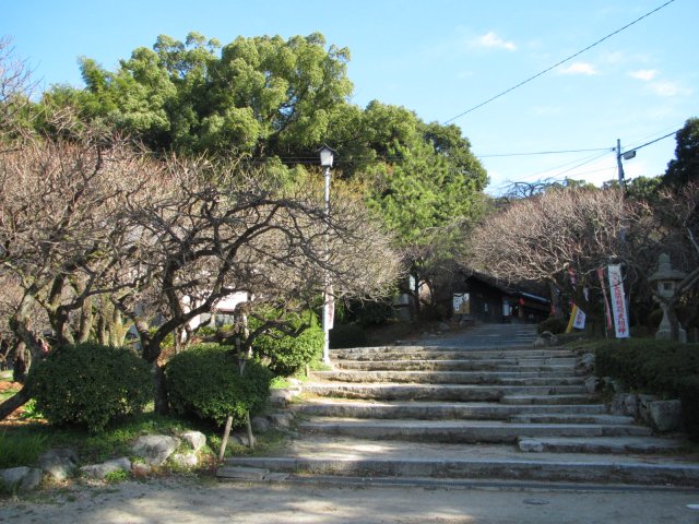 f:id:sakaik_life:20110108234118j:image:w180 f:id:sakaik_life:20110108234118j:image:w180