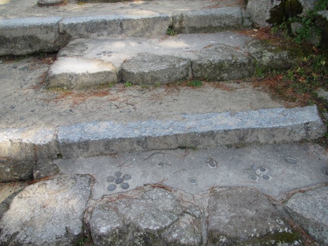 f:id:sakaik_life:20110109000926j:image:w180 f:id:sakaik_life:20110109000926j:image:w180