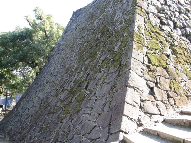 f:id:sakaik_life:20110109233918j:image:w220 f:id:sakaik_life:20110109233918j:image:w220