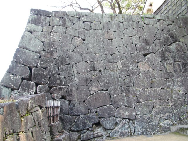 f:id:sakaik_life:20110109233919j:image:w220 f:id:sakaik_life:20110109233919j:image:w220