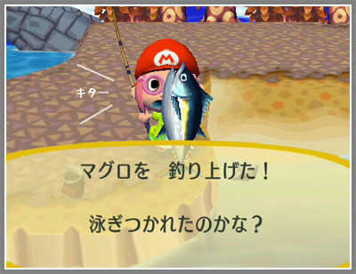 f:id:sakaki0214:20081203224200j:image f:id:sakaki0214:20081203224200j:image