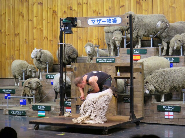 f:id:sakamotwin:20160309224712j:image f:id:sakamotwin:20160309224712j:image