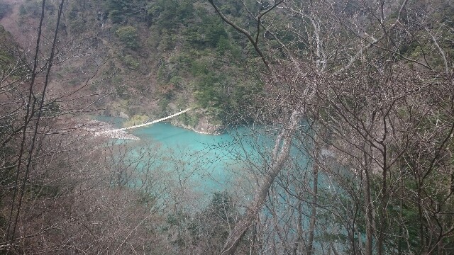 f:id:sakamotwin:20160321125502j:image f:id:sakamotwin:20160321125502j:image
