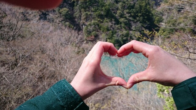 f:id:sakamotwin:20160321125627j:image f:id:sakamotwin:20160321125627j:image