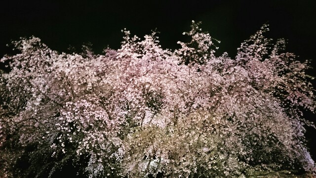 f:id:sakamotwin:20160404185609j:image f:id:sakamotwin:20160404185609j:image
