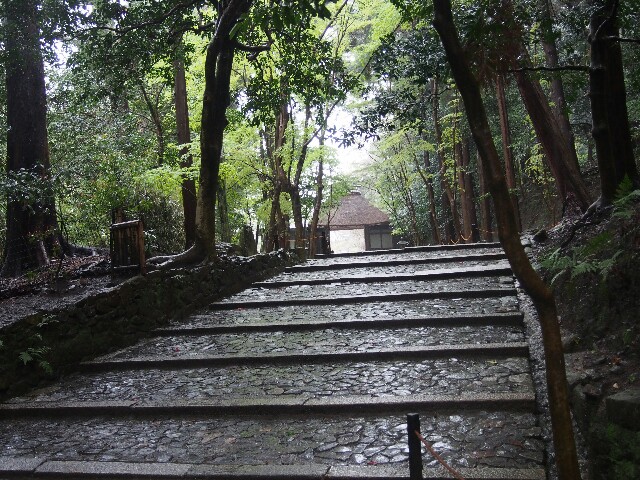 f:id:sakamotwin:20160411213942j:image f:id:sakamotwin:20160411213942j:image