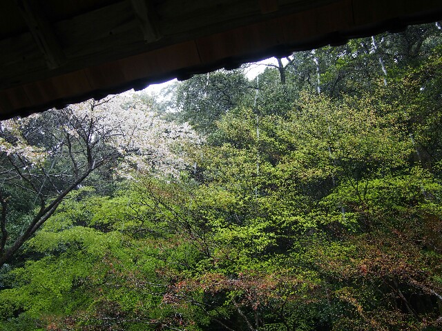 f:id:sakamotwin:20160411215206j:image f:id:sakamotwin:20160411215206j:image