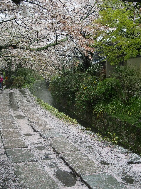 f:id:sakamotwin:20160411222256j:image f:id:sakamotwin:20160411222256j:image