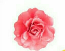 f:id:sakamotwin:20160418182501j:image f:id:sakamotwin:20160418182501j:image