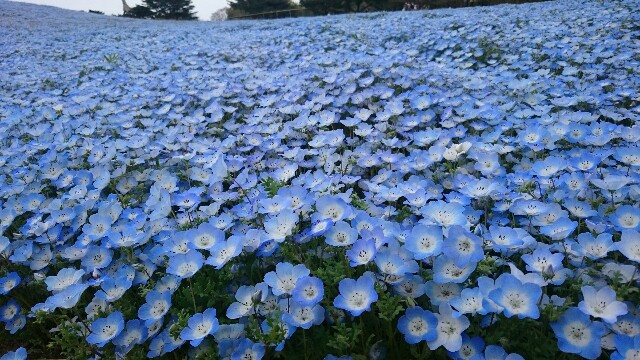 f:id:sakamotwin:20160422202913j:image f:id:sakamotwin:20160422202913j:image
