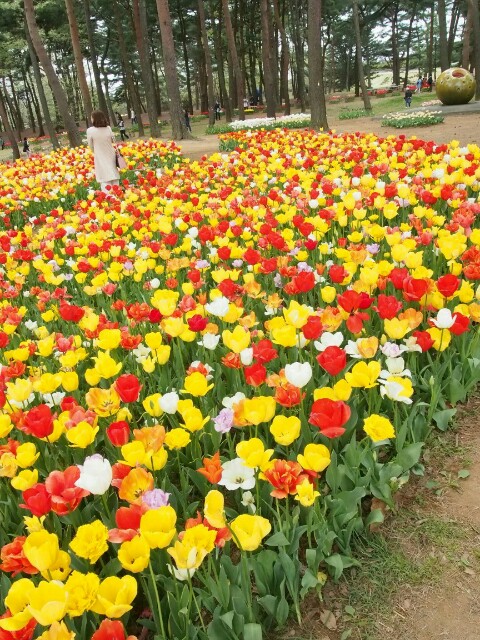 f:id:sakamotwin:20160422204308j:image f:id:sakamotwin:20160422204308j:image