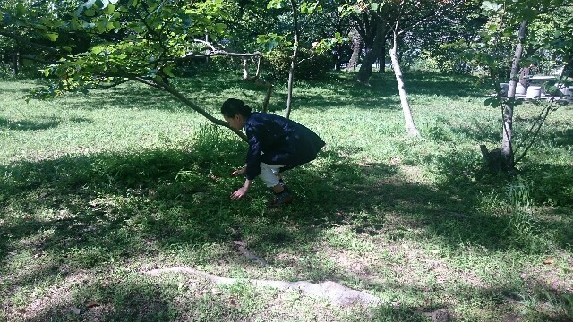 f:id:sakamotwin:20160430222504j:image f:id:sakamotwin:20160430222504j:image