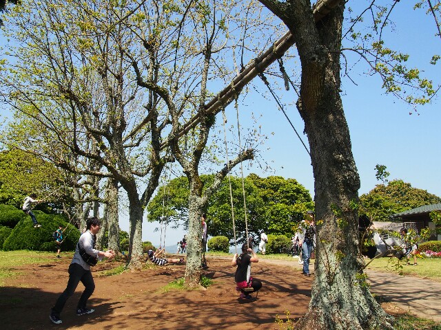 f:id:sakamotwin:20160504195740j:image f:id:sakamotwin:20160504195740j:image