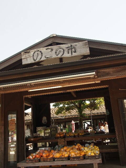 f:id:sakamotwin:20160504201553j:image f:id:sakamotwin:20160504201553j:image