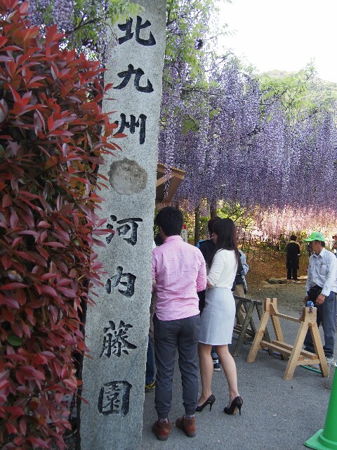 f:id:sakamotwin:20160505013503j:image f:id:sakamotwin:20160505013503j:image