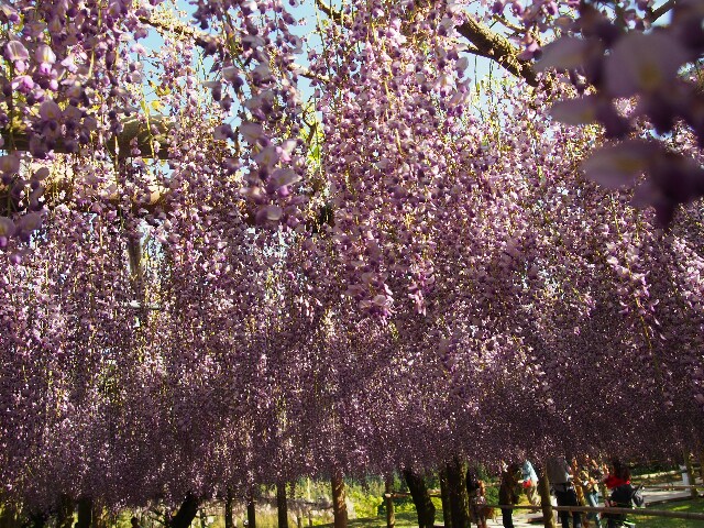 f:id:sakamotwin:20160505015131j:image f:id:sakamotwin:20160505015131j:image