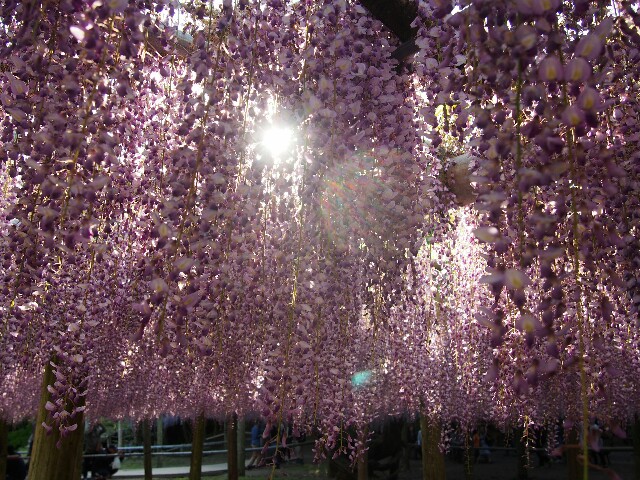 f:id:sakamotwin:20160505015721j:image f:id:sakamotwin:20160505015721j:image