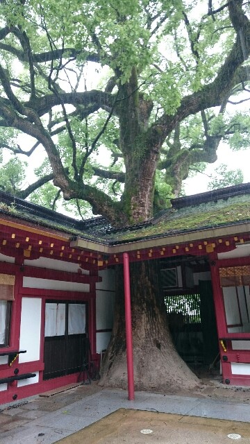 f:id:sakamotwin:20160505201823j:image f:id:sakamotwin:20160505201823j:image