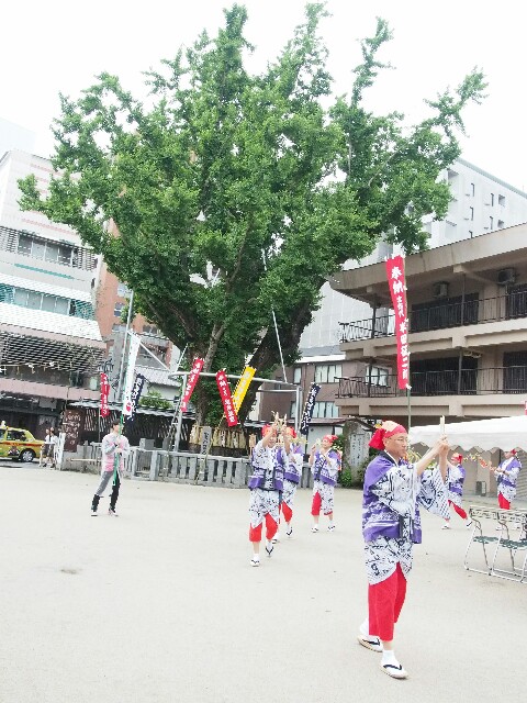 f:id:sakamotwin:20160505221153j:image f:id:sakamotwin:20160505221153j:image