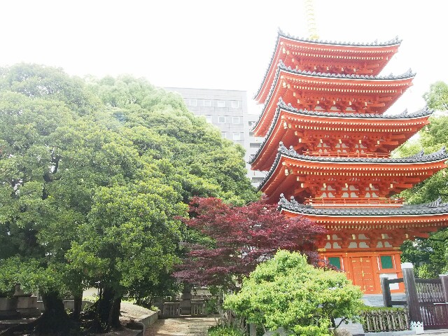 f:id:sakamotwin:20160505221410j:image f:id:sakamotwin:20160505221410j:image