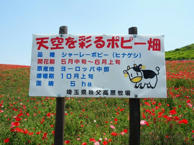 f:id:sakamotwin:20160522222326j:image f:id:sakamotwin:20160522222326j:image