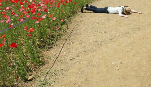 f:id:sakamotwin:20160522223912j:image f:id:sakamotwin:20160522223912j:image
